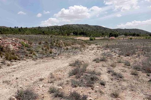 Helårsgrund i Yecla, Murcia, Yecla - € 25.000 | Ref: SF0457 - foto 5